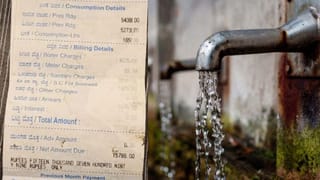 Optical Illusion: ಸಸ್ಯಗಳ ನಡುವೆ ಅಡಗಿದೆ ಮುದ್ದಾದ ಬೆಕ್ಕು, ಎಲ್ಲಿದೆ ಎಂದು ನೀವು ಹೇಳಬಲ್ಲಿರಾ?