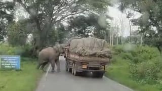 ಅದ್ದೂರಿಯಾಗಿ ನಡೆಯಿತು ಭಾವನಾ ರಾಮಣ್ಣ ಸೀಮಂತ ಶಾಸ್ತ್ರ; ಇಲ್ಲಿದೆ ವಿಡಿಯೋ