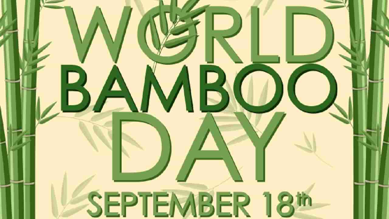 World Bamboo Day 2025: ಪರಿಸರ ಸಮತೋಲನದಿಂದ ಕೃಷಿಯವರೆಗೆ ಬಿದಿರಿನ ಉಪಯೋಗ ಹಲವು