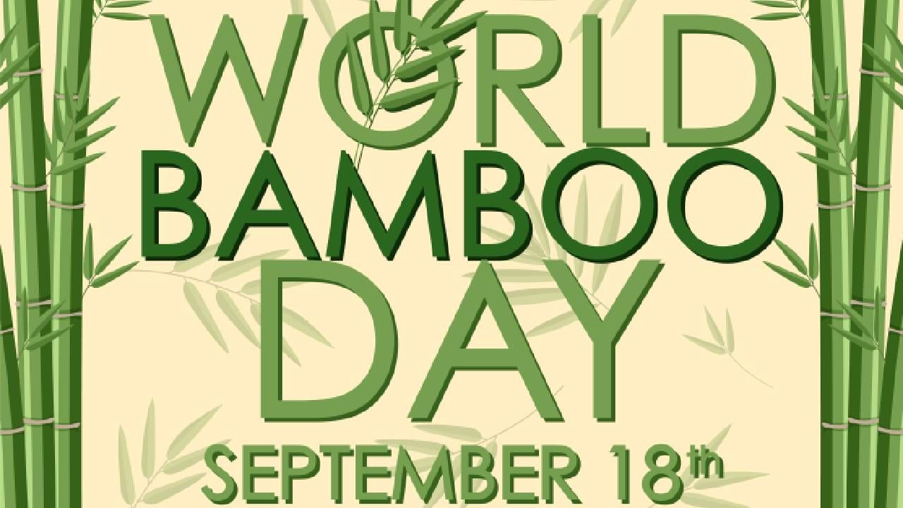 World Bamboo Day 2025: ಪರಿಸರ ಸಮತೋಲನದಿಂದ ಕೃಷಿಯವರೆಗೆ ಬಿದಿರಿನ ಉಪಯೋಗ ಹಲವು World Bamboo Day 2025: ಪರಿಸರ ಸಮತೋಲನದಿಂದ ಕೃಷಿಯವರೆಗೆ ಬಿದಿರಿನ ಉಪಯೋಗ ಹಲವು