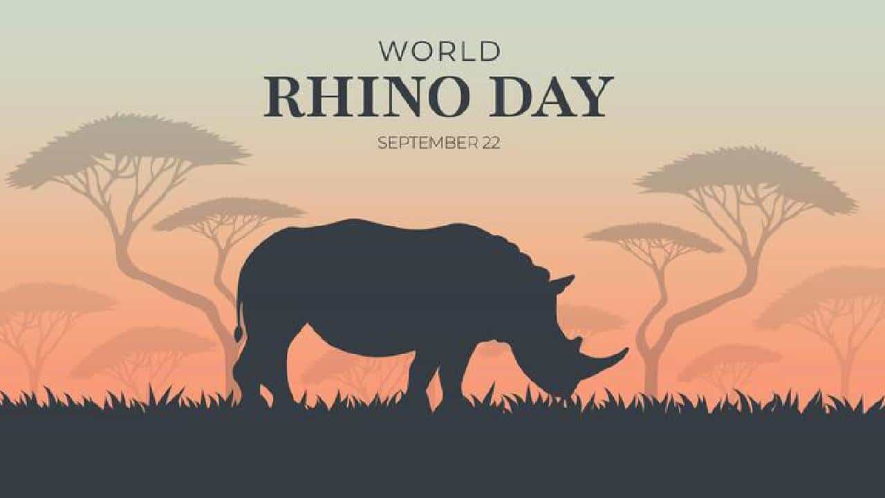 World Rhino Day 2025: ವಿಶ್ವ ಘೇಂಡಾಮೃಗ ದಿನದ ಆಚರಣೆಯ ಇತಿಹಾಸ, ಮಹತ್ವವನ್ನು ತಿಳಿಯಿರಿ World Rhino Day 2025: ವಿಶ್ವ ಘೇಂಡಾಮೃಗ ದಿನದ ಆಚರಣೆಯ ಇತಿಹಾಸ, ಮಹತ್ವವನ್ನು ತಿಳಿಯಿರಿ