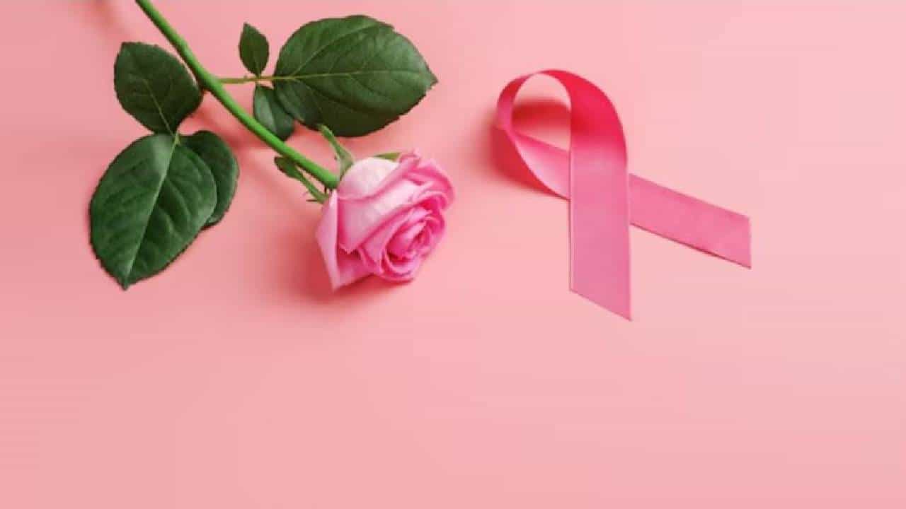 World Rose Day 2025: ಕ್ಯಾನ್ಸರ್‌ ರೋಗಿಗಗಳಿಗೆ ಮನೋಸ್ಥೈರ್ಯ ತುಂಬಲು ಮೀಸಲಿರುವ ರೋಸ್‌ ಡೇ ಬಗ್ಗೆ ತಿಳಿಯಿರಿ