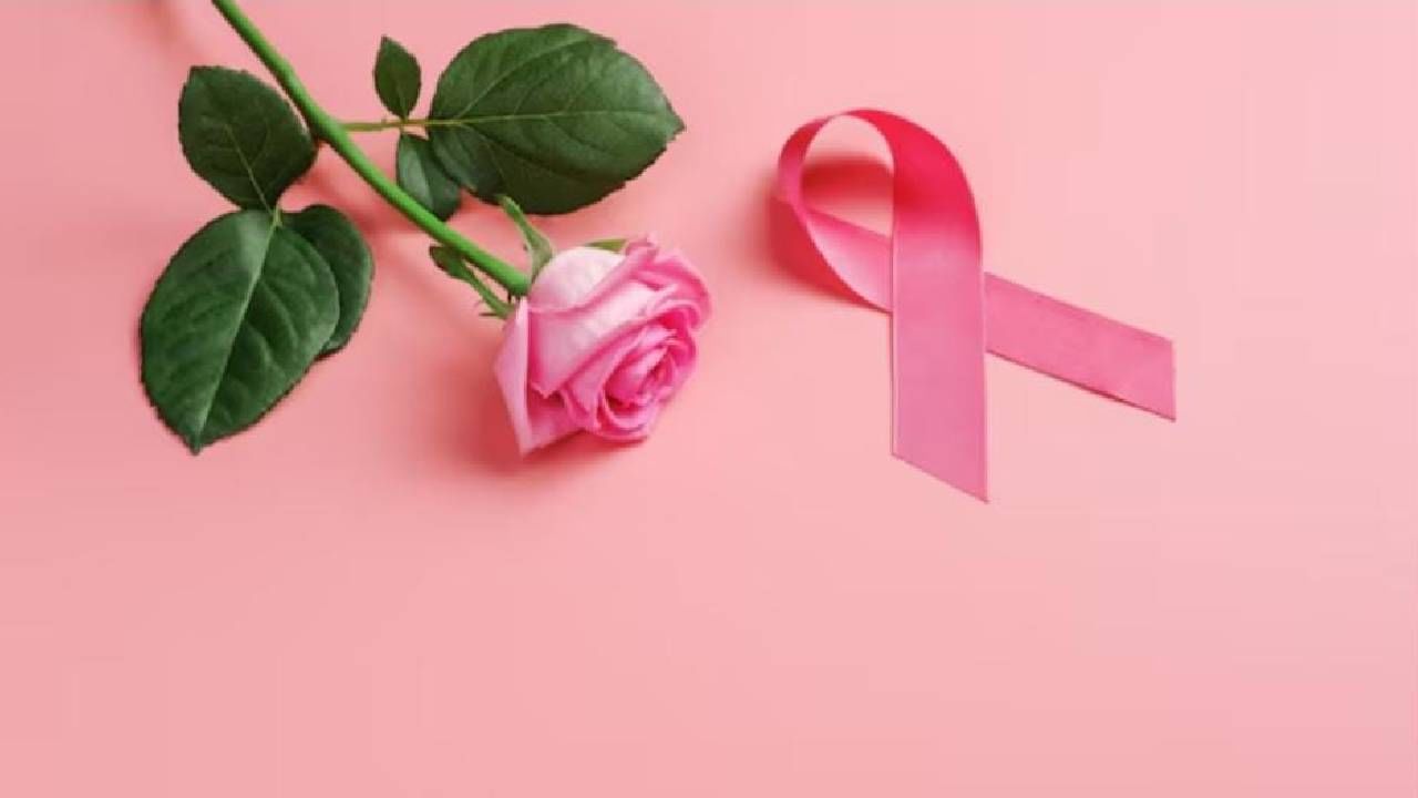 World Rose Day 2025: ಕ್ಯಾನ್ಸರ್ ರೋಗಿಗಗಳಿಗೆ ಮನೋಸ್ಥೈರ್ಯ ತುಂಬಲು ಮೀಸಲಿರುವ ರೋಸ್ ಡೇ ಬಗ್ಗೆ ತಿಳಿಯಿರಿ World Rose Day 2025: ಕ್ಯಾನ್ಸರ್ ರೋಗಿಗಗಳಿಗೆ ಮನೋಸ್ಥೈರ್ಯ ತುಂಬಲು ಮೀಸಲಿರುವ ರೋಸ್ ಡೇ ಬಗ್ಗೆ ತಿಳಿಯಿರಿ