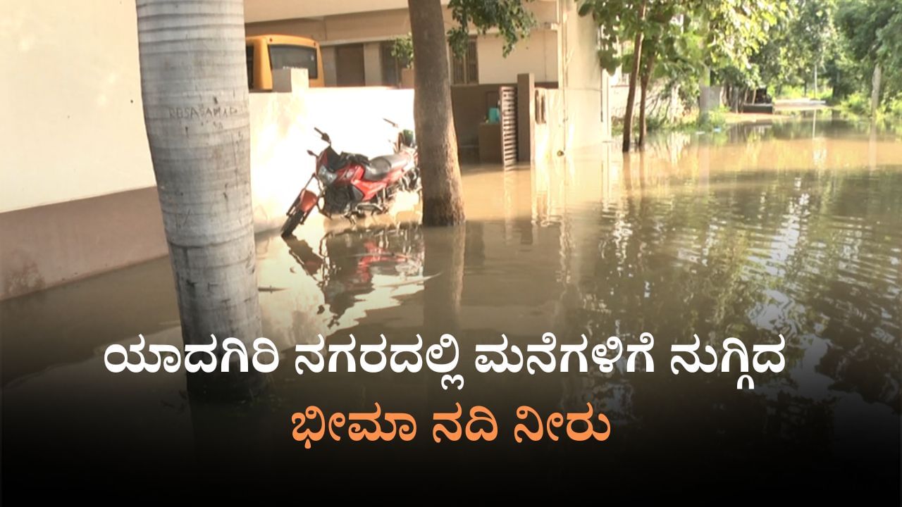 ಉಕ್ಕಿ ಹರಿದ ಭೀಮೆ: ಯಾದಗಿರಿ ತುಂಬೆಲ್ಲ ನೀರೇ ನೀರು