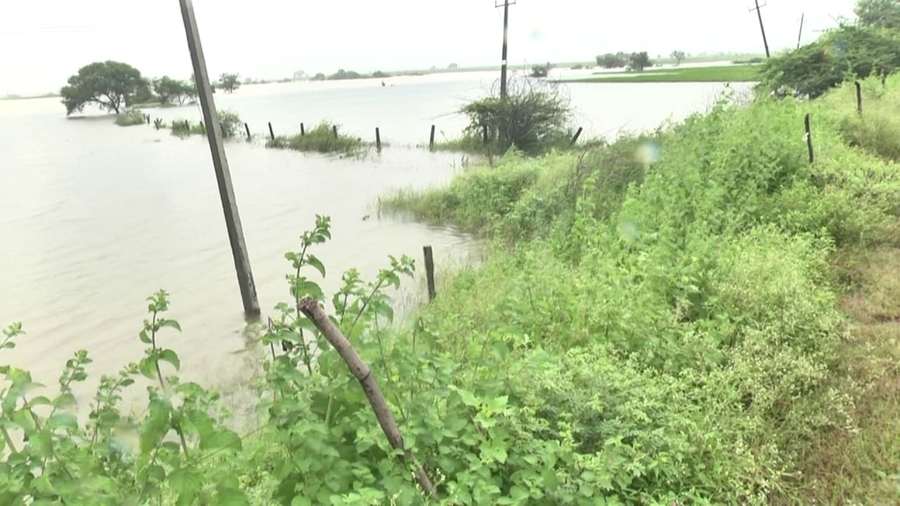 ಮಹಾರಾಷ್ಟ್ರದಲ್ಲಿ ಮುಂದುವರೆದ ಮಳೆ ಹಿನ್ನಲೆಯಲ್ಲಿ ಯಾದಗಿರಿ ಜಿಲ್ಲೆಯಲ್ಲಿ ಪ್ರವಾಹದ ಸ್ಥಿತಿ ನಿರ್ಮಾಣವಾಗಿದೆ. ಮಹಾರಾಷ್ಟ್ರದ ಉಜನಿ ಜಲಾಶಯದಿಂದ ಭೀಮಾನದಿಗೆ ಅಪಾರ ಪ್ರಮಾಣದ ನೀರು ಬಿಡುಗಡೆಯಾಗಿದೆ. ಕಲಬುರಗಿ ಸನ್ನತಿ ಬ್ಯಾರೇಜ್​ನಿಂದ ಅಪಾರ ಪ್ರಮಾಣದಲ್ಲಿ ನೀರು ಹರಿಬಿಡಲಾಗಿದೆ. ವಡಗೇರ ತಾಲೂಕಿನ ನಾಯ್ಕಲ್ ಗ್ರಾಮದ ನೂರಾರು ಎಕರೆ ಬೆಳೆ ನೀರುಪಾಲಾಗಿದೆ.