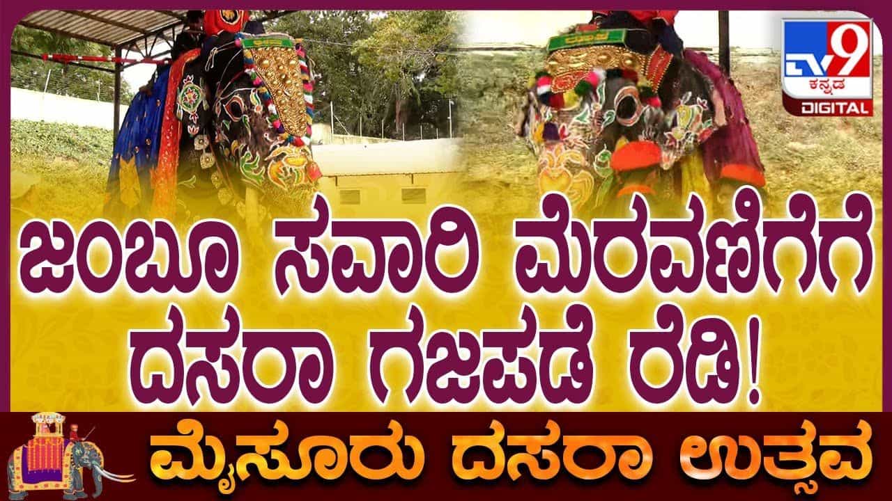 Mysuru Dasara: ಶಂಖ-ಚಕ್ರ, ಗಂಡಬೇರುಂಡ ಚಿತ್ತಾರ; ಅಭಿಮನ್ಯುಗೆ ಬಣ್ಣದ ಅಲಂಕಾರ