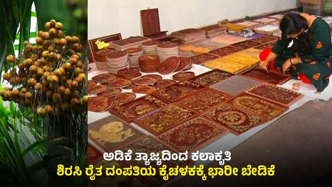 ಅಡಿಕೆ ತ್ಯಾಜ್ಯಕ್ಕೂ ಬಂಗಾರದ ಬೆಲೆ ಇದೆ ಎಂದು ತೋರಿಸಿಕೊಟ್ಟ ರೈತ ದಂಪತಿ 