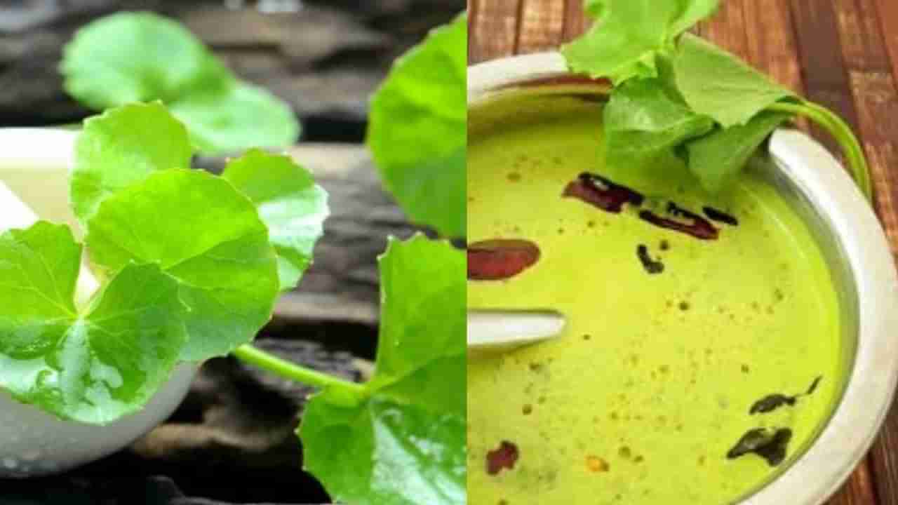 ಮಕ್ಕಳು ಓದಿದಷ್ಟನ್ನು ಸರಿಯಾಗಿ ನೆನಪಿಟ್ಟುಕೊಳ್ಳಬೇಕು ಅಂದ್ರೆ ವಾರಕ್ಕೊಮ್ಮೆ ಈ ತಂಬುಳಿ ಮಾಡಿಕೊಡಿ