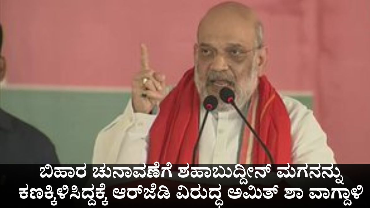 ಬಿಹಾರ ಚುನಾವಣೆಗೆ ಶಹಾಬುದ್ದೀನ್ ಮಗನನ್ನು ಕಣಕ್ಕಿಳಿಸಿದ್ದಕ್ಕೆ ಆರ್​ಜೆಡಿ ವಿರುದ್ಧ ಅಮಿತ್ ಶಾ ವಾಗ್ದಾಳಿ