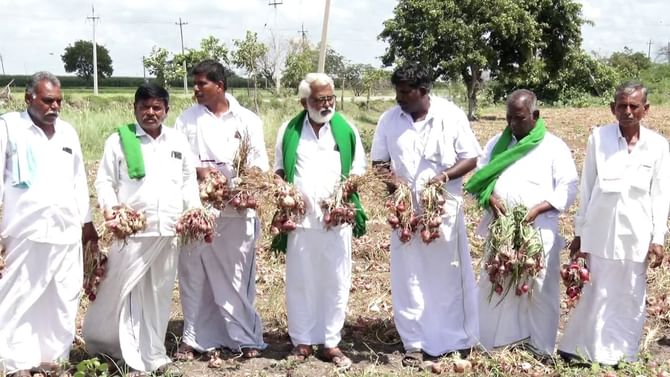 Onion price: ಈರುಳ್ಳಿ ಬೆಲೆಯಲ್ಲಿ ಭಾರೀ ಕುಸಿತ