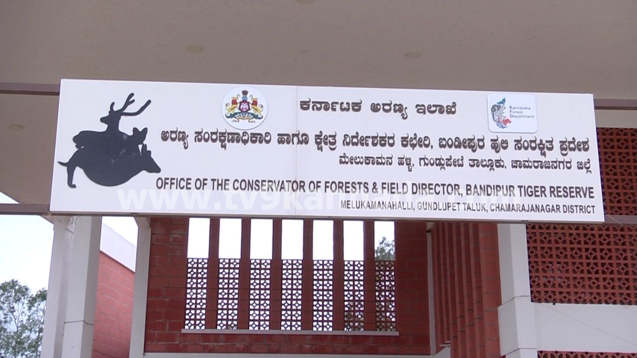 Bandipur Tiger Safari Dcf Office