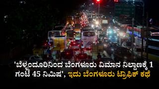 ಬೆಂಗಳೂರಿನಲ್ಲಿ ಡೇಂಜರ್ಸ್ ದುಬೈಗಿಡ: ಕೋನೋ ಕಾರ್ಪಸ್ ಮನುಷ್ಯನಿಗೆ ಎಷ್ಟು ಡೇಂಜರ್ ಗೊತ್ತಾ?