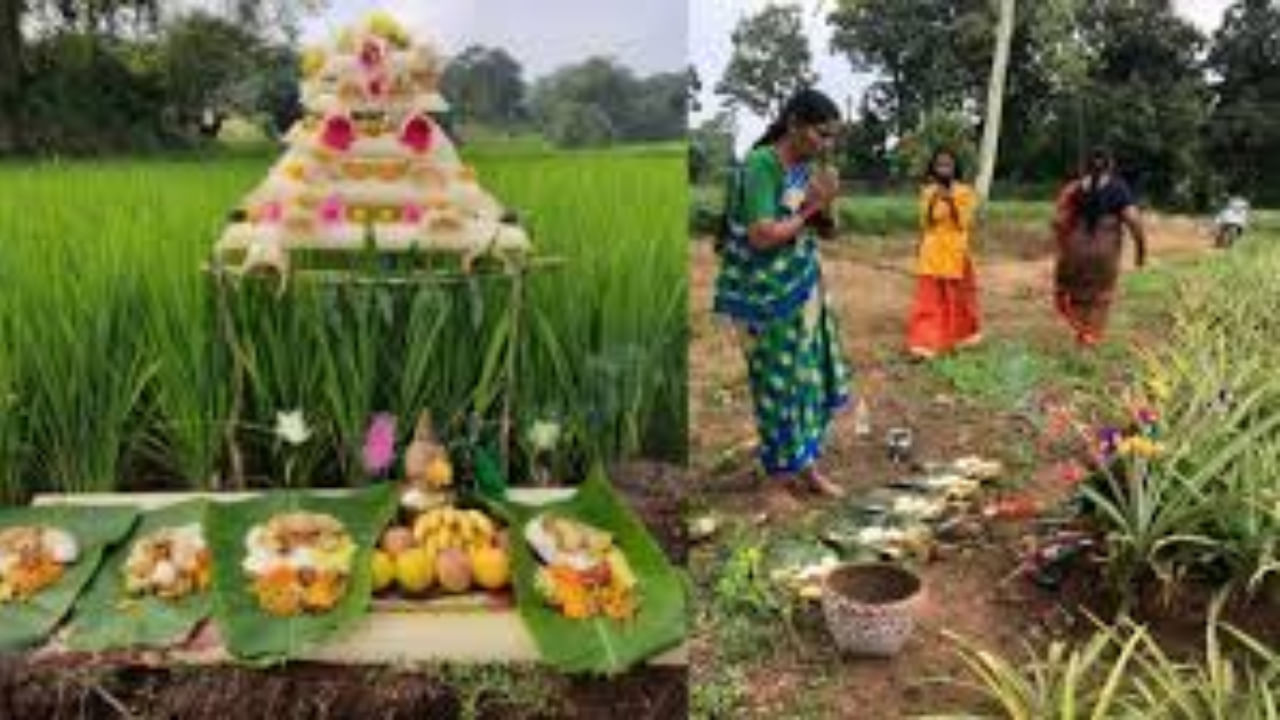 Seege Hunnime 2025: ಪ್ರಕೃತಿಯೊಂದಿಗೆ ರೈತರ ಬಾಂಧವ್ಯ ಸಾರುವ ಭೂಮಿ ಹುಣ್ಣಿಮೆ ಹಬ್ಬ