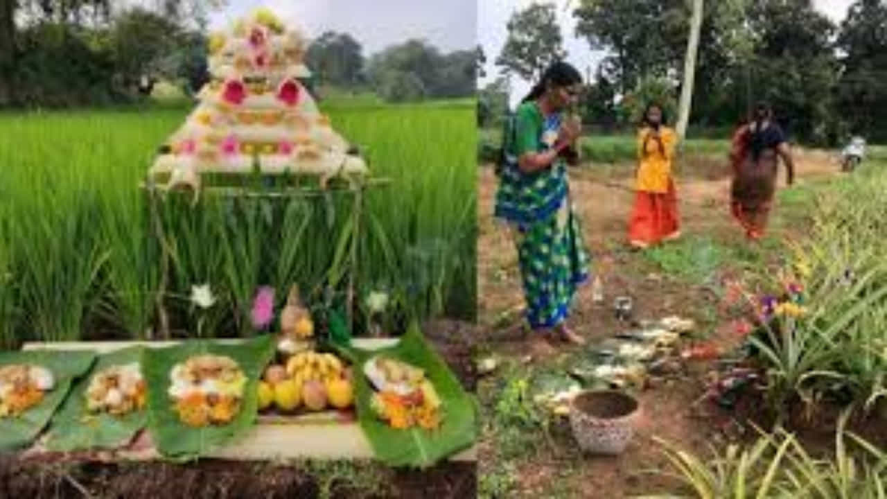 Seege Hunnime 2025: ಪ್ರಕೃತಿಯೊಂದಿಗೆ ರೈತರ ಬಾಂಧವ್ಯ ಸಾರುವ ಭೂಮಿ ಹುಣ್ಣಿಮೆ ಹಬ್ಬ Seege Hunnime 2025: ಪ್ರಕೃತಿಯೊಂದಿಗೆ ರೈತರ ಬಾಂಧವ್ಯ ಸಾರುವ ಭೂಮಿ ಹುಣ್ಣಿಮೆ ಹಬ್ಬ