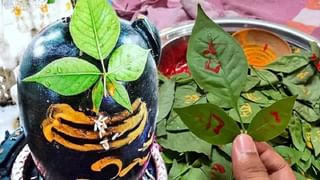 Horoscope Today 01 November: ಕನ್ನಡ ರಾಜ್ಯೋತ್ಸವ ದಿನದಂದು ದ್ವಾದಶ ರಾಶಿಗಳ ಫಲಾಫಲ