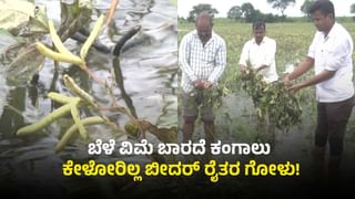 ಬೀದರ್: ಪ್ರಧಾನ ಮಂತ್ರಿ ಫಸಲ್ ಭೀಮಾ ಯೋಜನೆ ಹೆಸರಿನಲ್ಲಿ ರೈತರಿಗೆ ಭಾರೀ ಮೋಸ