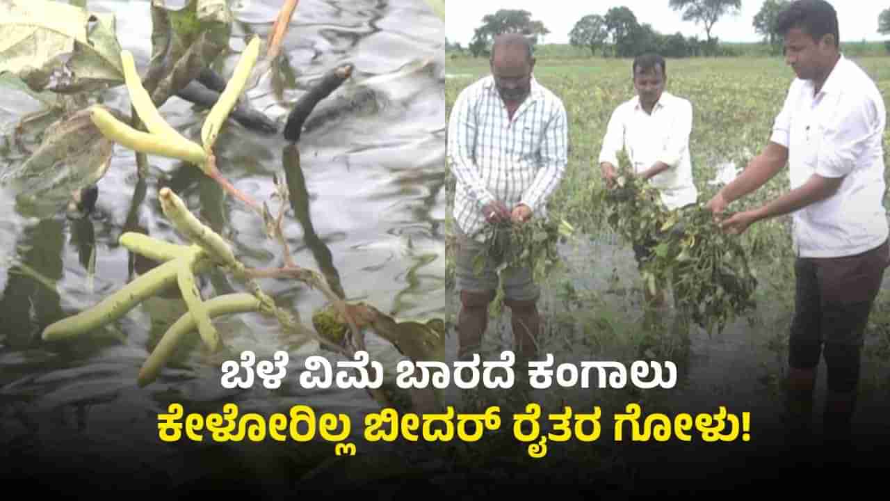 ಬೀದರ್: ಪ್ರಧಾನ ಮಂತ್ರಿ ಫಸಲ್ ಭೀಮಾ ಯೋಜನೆ ಹೆಸರಿನಲ್ಲಿ ರೈತರಿಗೆ ಭಾರೀ ಮೋಸ
