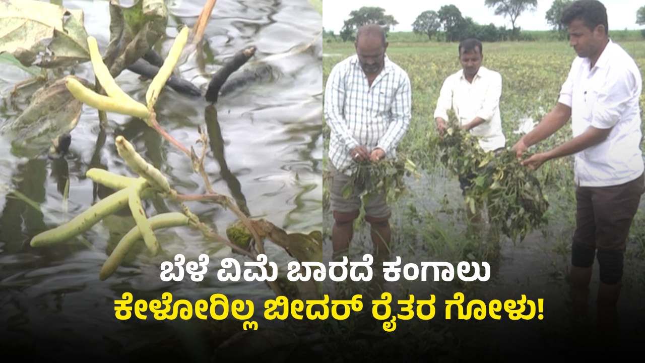 ಬೀದರ್: ಪ್ರಧಾನ ಮಂತ್ರಿ ಫಸಲ್ ಭೀಮಾ ಯೋಜನೆ ಹೆಸರಿನಲ್ಲಿ ರೈತರಿಗೆ ಭಾರೀ ಮೋಸ ಬೀದರ್: ಪ್ರಧಾನ ಮಂತ್ರಿ ಫಸಲ್ ಭೀಮಾ ಯೋಜನೆ ಹೆಸರಿನಲ್ಲಿ ರೈತರಿಗೆ ಭಾರೀ ಮೋಸ
