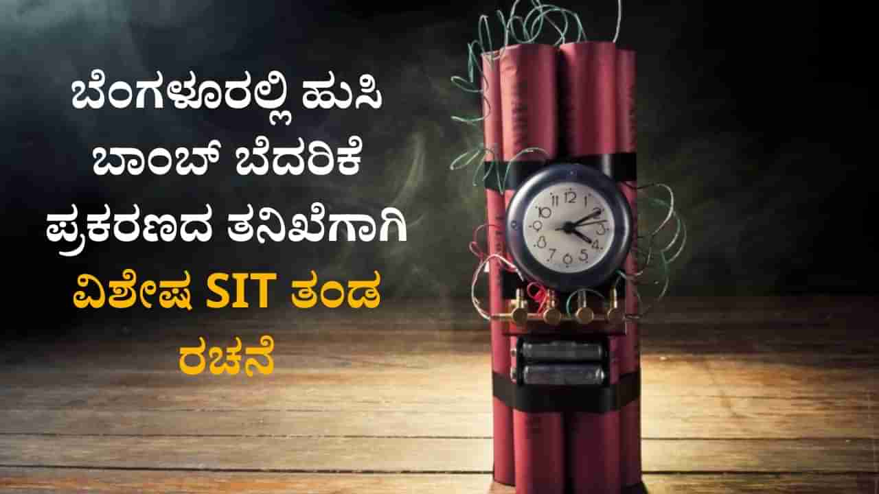 ಬೆಂಗಳೂರಲ್ಲಿ ಹುಸಿ ಬಾಂಬ್ ಬೆದರಿಕೆ ಪ್ರಕರಣ ಹೆಚ್ಚಳ‌; ಡಿಸಿಪಿ ಬಿ.ಎಸ್.ನೇಮಗೌಡ ನೇತೃತ್ವದ SIT ರಚನೆ
