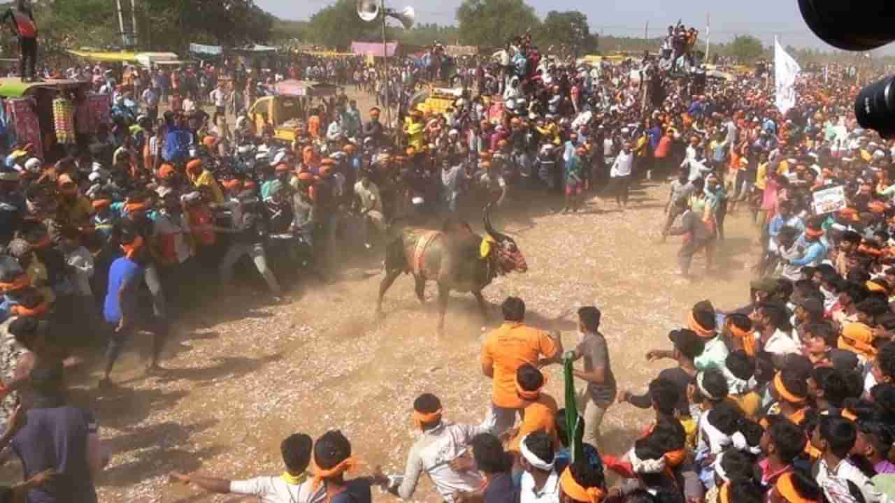 ಹಾವೇರಿ: ಹೋರಿ ಬೆದರಿಸುವ ಸ್ಪರ್ಧೆಯಲ್ಲಿ ಹಾರಿ ಹೋಯ್ತು ಮೂವರ ಪ್ರಾಣ