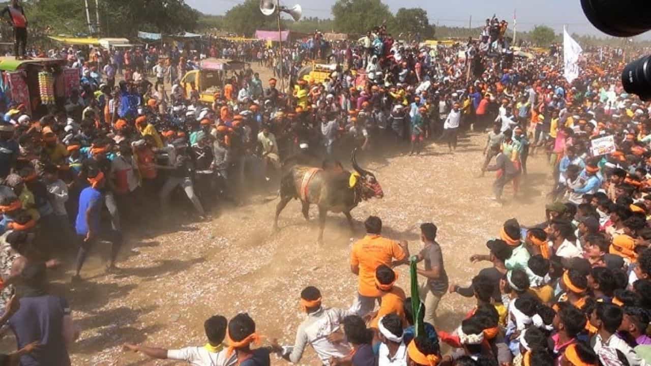 ಹಾವೇರಿ: ಹೋರಿ ಬೆದರಿಸುವ ಸ್ಪರ್ಧೆಯಲ್ಲಿ ಹಾರಿ ಹೋಯ್ತು ಮೂವರ ಪ್ರಾಣ ಹಾವೇರಿ: ಹೋರಿ ಬೆದರಿಸುವ ಸ್ಪರ್ಧೆಯಲ್ಲಿ ಹಾರಿ ಹೋಯ್ತು ಮೂವರ ಪ್ರಾಣ
