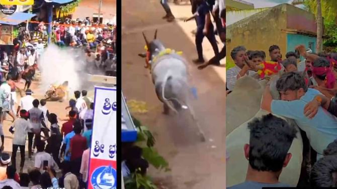 ಅಖಾಡದಲ್ಲಿ ಬಿದ್ದು ಕಾಲು ಮುರಿದ್ರೂ ಎದ್ದು ಗುರಿ ಮುಟ್ಟಿದ ಹೋರಿ