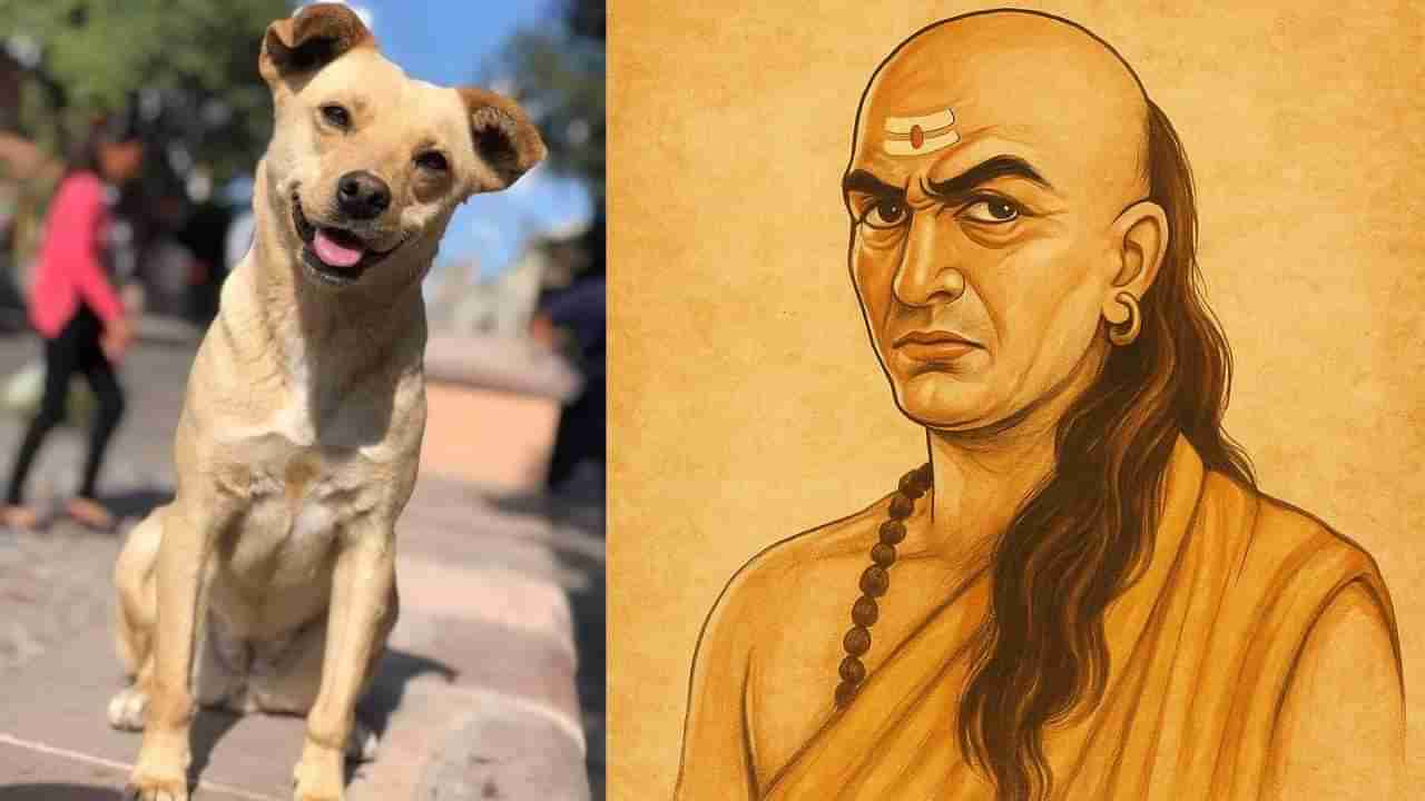 Chanakya Niti: ಪ್ರತಿಯೊಬ್ಬ ಮನುಷ್ಯನೂ ನಾಯಿಯಿಂದ ಈ ನಾಲ್ಕು ಗುಣಗಳನ್ನು ಕಲಿಯಲೇಬೇಕು ಎನ್ನುತ್ತಾರೆ ಚಾಣಕ್ಯ