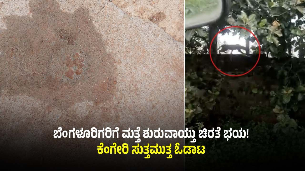 ಬೆಂಗಳೂರಿನಲ್ಲಿ ಚಿರತೆ ಓಡಾಟ: ಭಯದಲ್ಲಿ ಮನೆಯಿಂದ ಹೊರಬರದ ಜನ