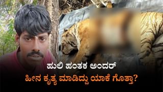 ಮಲೆಮಹದೇಶ್ವರ ಬೆಟ್ಟದಲ್ಲಿ ಮತ್ತೊಂದು ಹುಲಿ ಹತ್ಯೆ ಕೇಸ್​: ಇಬ್ಬರು ಶಂಕಿತರು ವಶಕ್ಕೆ