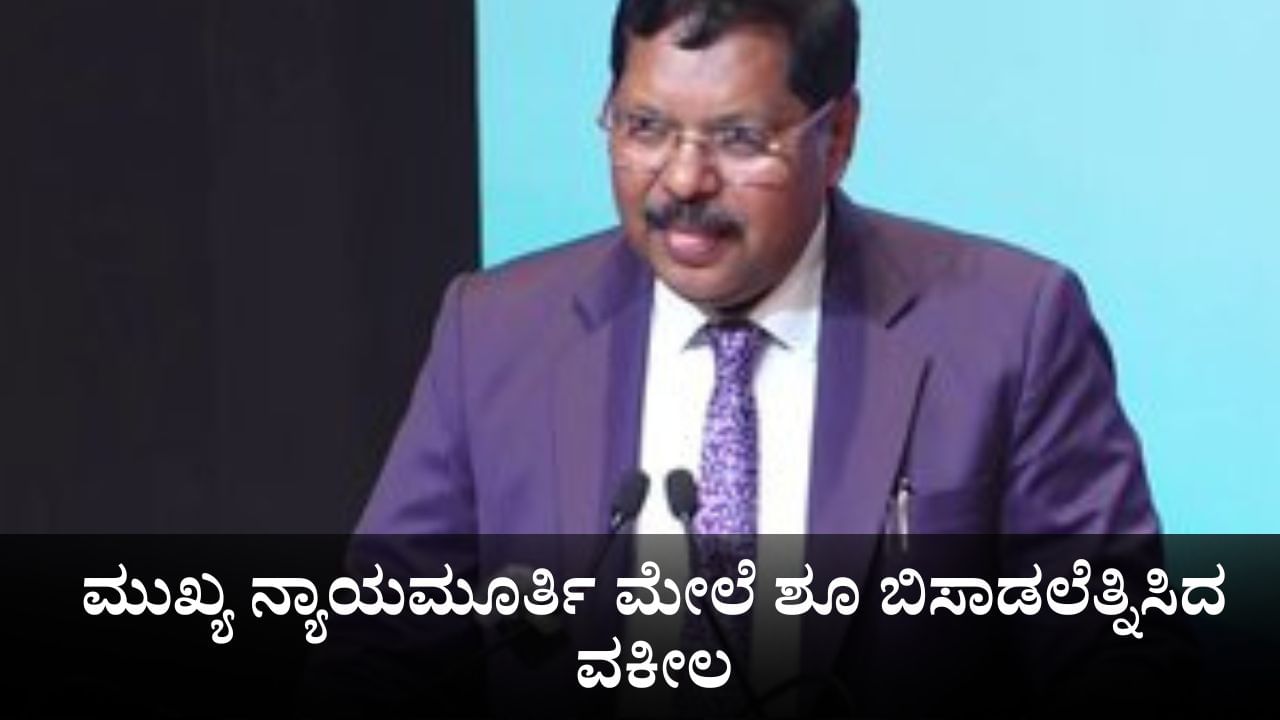 ಸುಪ್ರೀಂ ಕೋರ್ಟ್​ನಲ್ಲಿ ಮುಖ್ಯ ನ್ಯಾಯಮೂರ್ತಿ ಗವಾಯಿ ಮೇಲೆ ಶೂ ಬಿಸಾಡಲೆತ್ನಿಸಿದ ವಕೀಲ