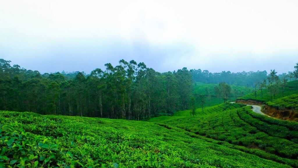 Coorg