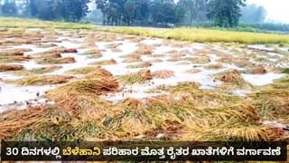 Karnataka Weather: ಬೆಂಗಳೂರಿಗೆ ಯೆಲ್ಲೋ ಅಲರ್ಟ್​, ಕರ್ನಾಟಕದ 12 ಜಿಲ್ಲೆಗಳಲ್ಲಿ ವಿಪರೀತ ಮಳೆ