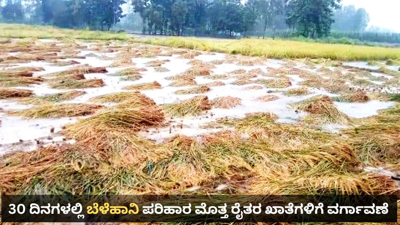 30 ದಿನಗಳಲ್ಲಿ ರೈತರ ಖಾತೆಗಳಿಗೆ ವರ್ಗಾವಣೆಯಾಗಲಿದೆ ಬೆಳೆಹಾನಿ ಪರಿಹಾರದ ಮೊತ್ತ: ಸಚಿವ ಕೃಷ್ಣ ಬೈರೇಗೌಡ ಭರವಸೆ 30 ದಿನಗಳಲ್ಲಿ ರೈತರ ಖಾತೆಗಳಿಗೆ ವರ್ಗಾವಣೆಯಾಗಲಿದೆ ಬೆಳೆಹಾನಿ ಪರಿಹಾರದ ಮೊತ್ತ: ಸಚಿವ ಕೃಷ್ಣ ಬೈರೇಗೌಡ ಭರವಸೆ