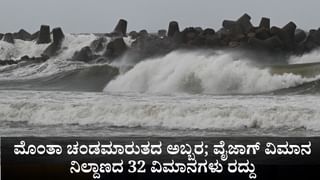 Bihar Elections: ಉಚಿತ ವಿದ್ಯುತ್‌ನಿಂದ ಸರ್ಕಾರಿ ಉದ್ಯೋಗದವರೆಗೆ; ಬಿಹಾರ ಚುನಾವಣೆಗೆ ಮಹಾಘಟಬಂಧನ್ ಪ್ರಣಾಳಿಕೆ ಬಿಡುಗಡೆ