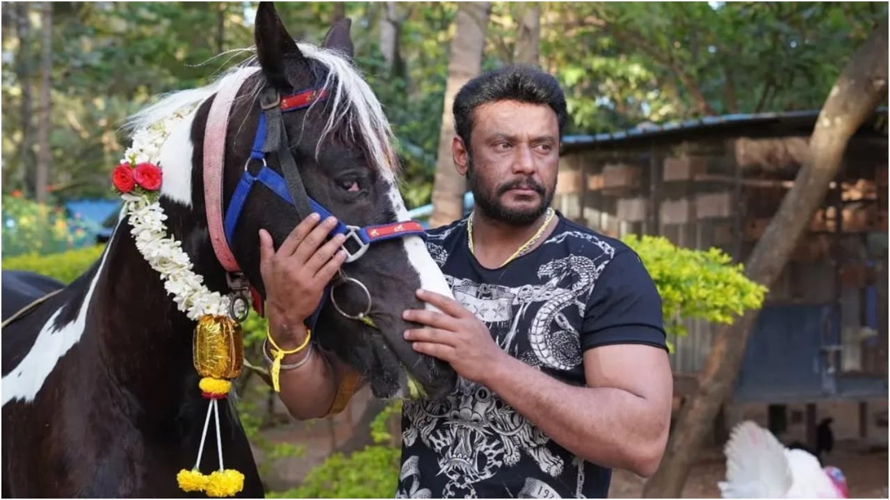 ದರ್ಶನ್ ಕುದುರೆಗಳು ಮಾರಾಟಕ್ಕೆ ಇವೆಯೇ? ಬೋರ್ಡ್ ಹಿಂದಿನ ರಹಸ್ಯ ಇದು ದರ್ಶನ್ ಕುದುರೆಗಳು ಮಾರಾಟಕ್ಕೆ ಇವೆಯೇ? ಬೋರ್ಡ್ ಹಿಂದಿನ ರಹಸ್ಯ ಇದು