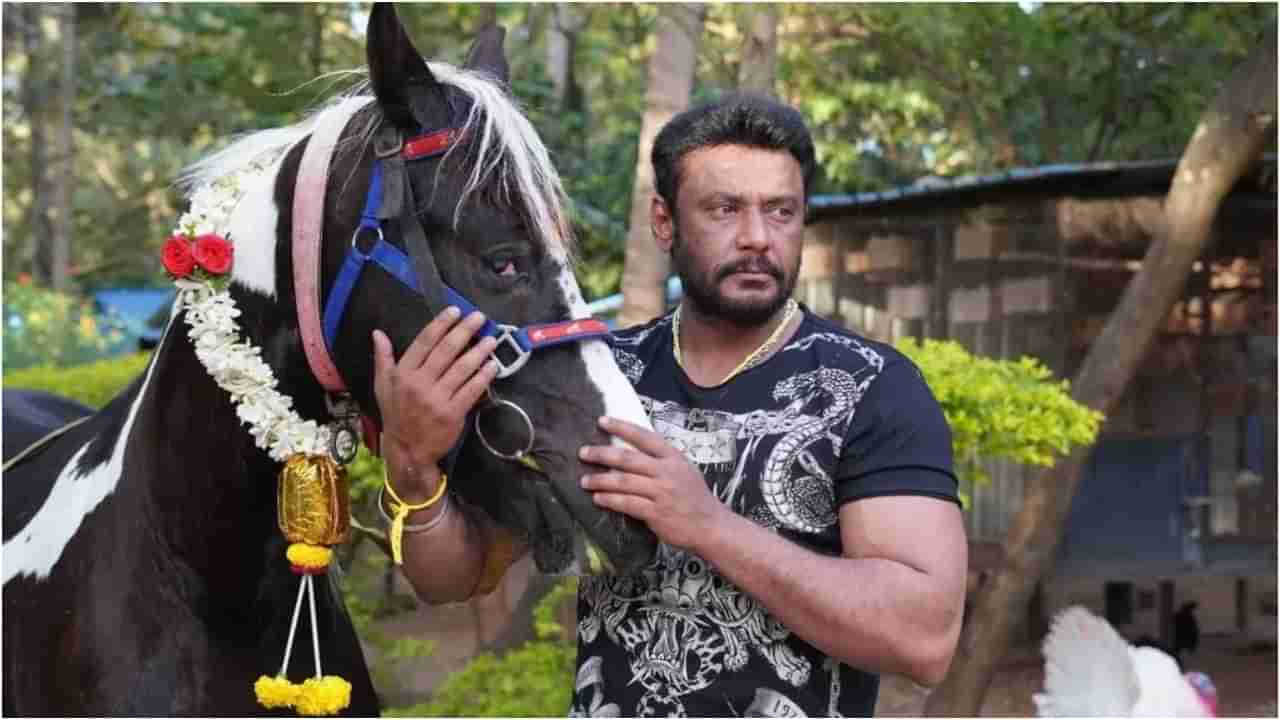 ದರ್ಶನ್ ಕುದುರೆಗಳು ಮಾರಾಟಕ್ಕೆ ಇವೆಯೇ? ಬೋರ್ಡ್ ಹಿಂದಿನ ರಹಸ್ಯ ಇದು