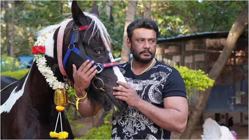 ದರ್ಶನ್ ಕುದುರೆಗಳು ಮಾರಾಟಕ್ಕೆ ಇವೆಯೇ? ಬೋರ್ಡ್ ಹಿಂದಿನ ರಹಸ್ಯ ಇದು