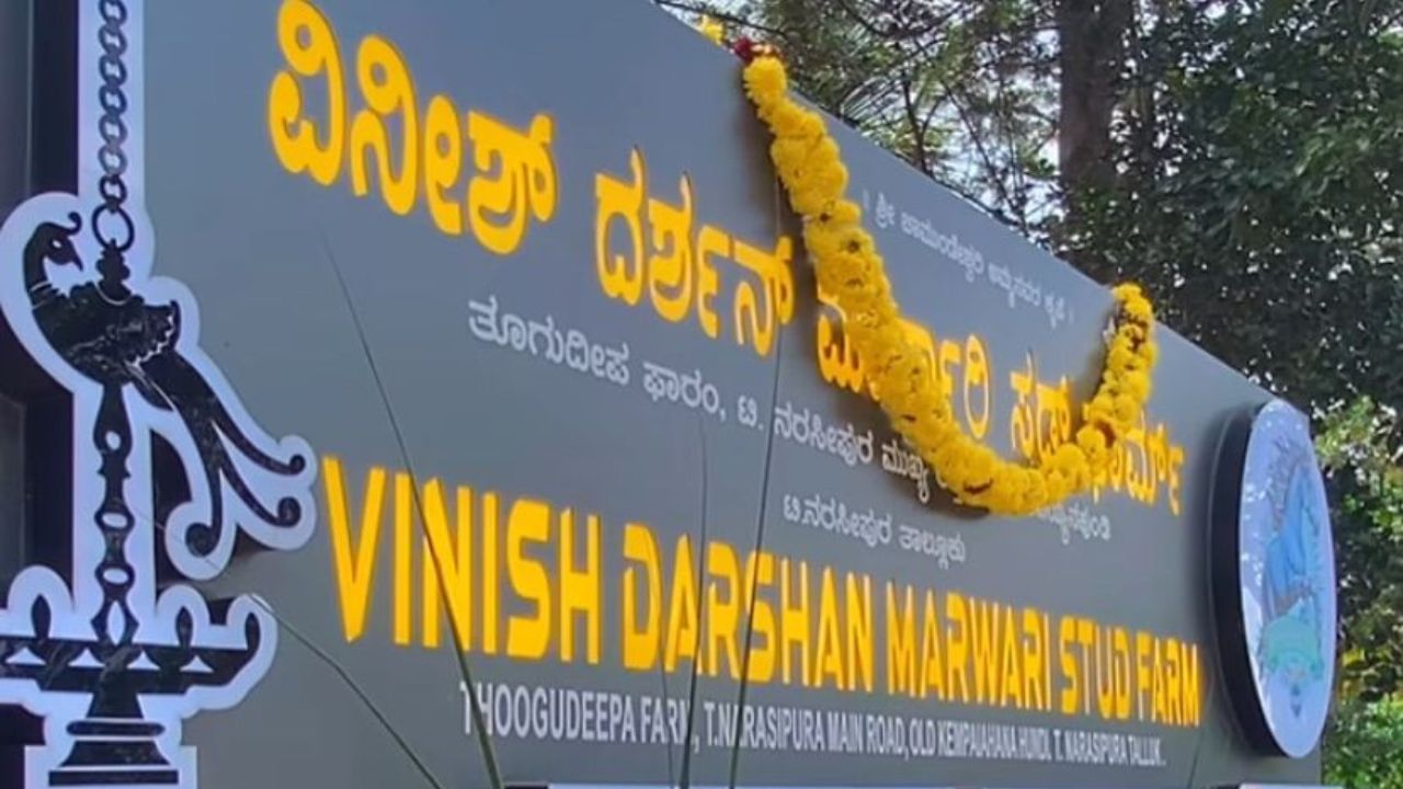 ನಟ ದರ್ಶನ್ ಕೆಲವು ಆಚರಣೆಗಳನ್ನು ತಪ್ಪಿಸುತ್ತಿರಲಿಲ್ಲ. ಅದರಲ್ಲೂ ಕೆಲವು ಹಬ್ಬಗಳನ್ನು ಮೈಸೂರಿನ ಫಾರಂ ಹೌಸ್ನಲ್ಲಿ ತಪ್ಪದೇ ಆಚರಿಸುತ್ತಿದ್ದರು.