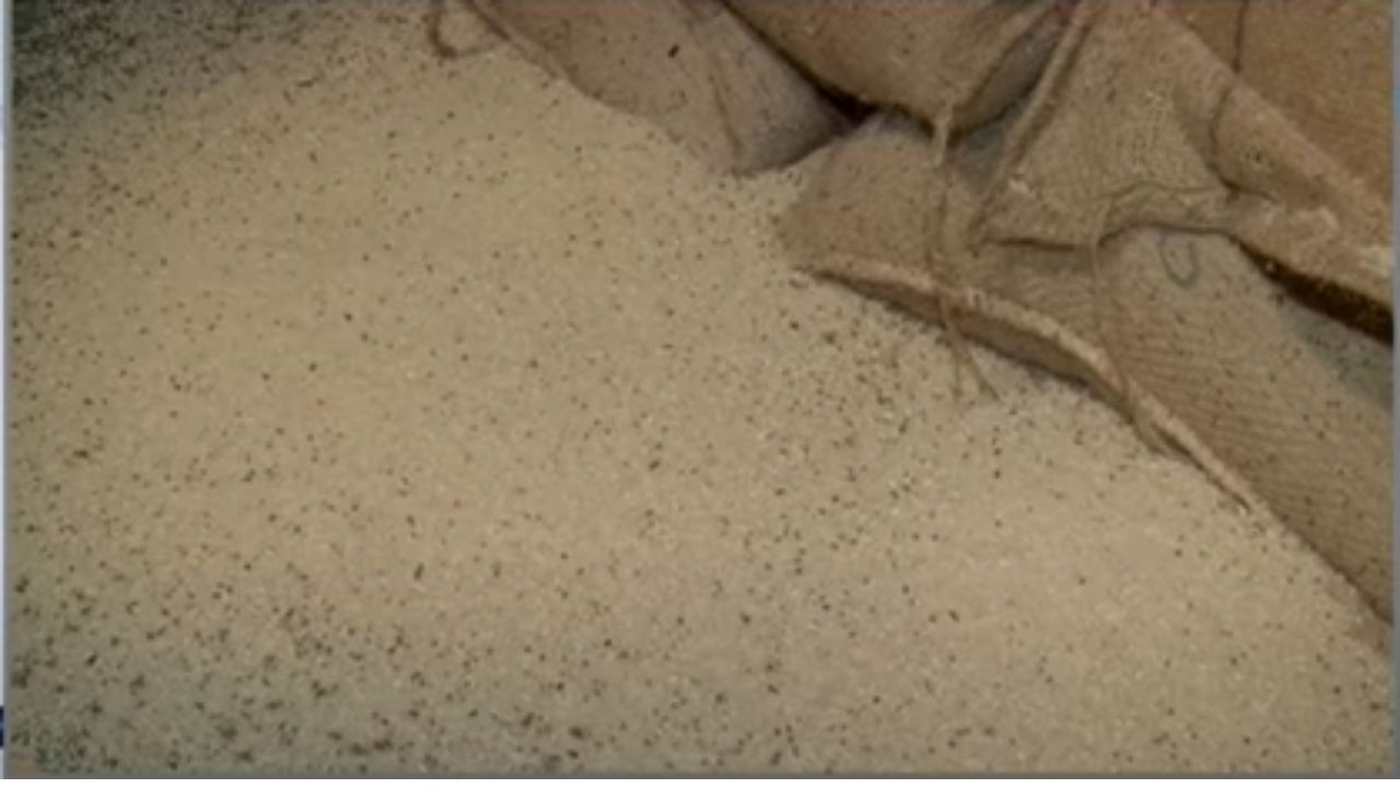 ಅಧಿಕಾರಗಳ ನಿರ್ಲಕ್ಷ್ಯ: ಬಡವರಿಗೆ ಸೇರಬೇಕಿದ್ದ ಲಕ್ಷಾಂತರ ಟನ್ ಆಹಾರ ಧಾನ್ಯ ಹಾಳು