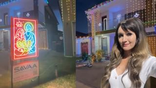 Optical Illusion: ಈ ಚಿತ್ರದಲ್ಲಿ ಅಡಗಿರುವ ಬೆಕ್ಕನ್ನು ಹತ್ತು ಸೆಕೆಂಡುಗಳಲ್ಲಿ ಕಂಡು ಹಿಡಿಯಿರಿ