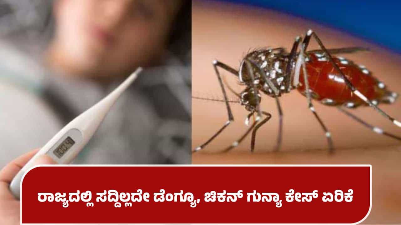 ಬದಲಾಗುತ್ತಿರುವ ವೆದರ್​ಗೆ ಹೈರಾಣಾದ ಬೆಂಗಳೂರಿನ ಜನ: ಜ್ವರ ಸೇರಿದಂತೆ ಡೆಂಗ್ಯೂ, ಚಿಕನ್ ಗುನ್ಯಾ ಉಲ್ಬಣ 
