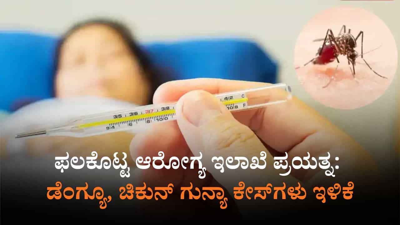 Karnataka: ಡೆಂಗ್ಯೂ, ಚಿಕನ್ ಗುನ್ಯಾ ಪ್ರಕರಣಗಳಲ್ಲಿ ಗಣನೀಯ ಇಳಿಕೆ