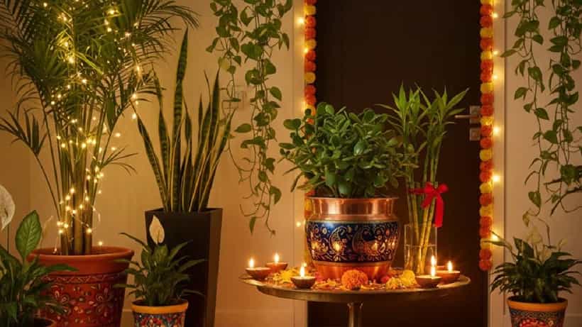 Deepavali 2025: ಆರ್ಥಿಕ ಸಮೃದ್ಧಿಗಾಗಿ ದೀಪಾವಳಿಯಂದು ಮನೆಯಲ್ಲಿ ಈ ಸಸ್ಯಗಳನ್ನು ನೆಡಿ