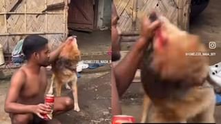 ಈರುಳ್ಳಿ ಬೆಲೆ ಕುಸಿತ; ಲೋಡ್​ಗಟ್ಟಲೇ ಈರುಳ್ಳಿ ಬಿಟ್ಟುಹೋದ ರಾಯಚೂರು ರೈತರು