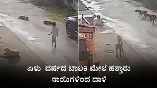 Video: ಮೊರಾದಾಬಾದ್​ನ ರೆಸ್ಟೋರೆಂಟ್​​ನಲ್ಲಿ ಅಗ್ನಿ ಅವಘಡ: ಓರ್ವ ಸಾವು, ಹಲವರಿಗೆ ಗಾಯ