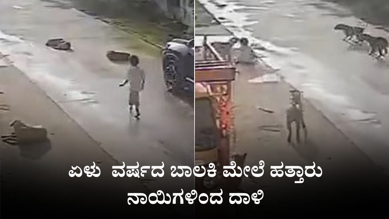 Video: ತನ್ನಷ್ಟಕ್ಕೆ ರಸ್ತೆಯಲ್ಲಿ ನಡೆದುಕೊಂಡು ಹೋಗುತ್ತಿದ್ದ 7 ವರ್ಷದ ಬಾಲಕಿ ಮೇಲೆ ಹತ್ತಾರು ನಾಯಿಗಳಿಂದ ದಾಳಿ