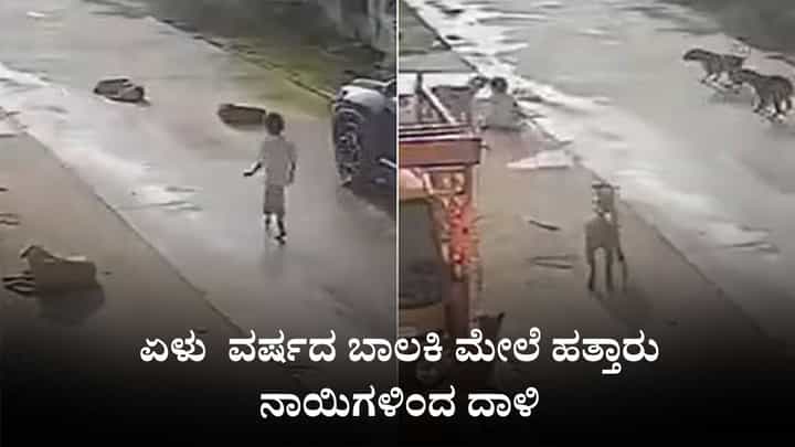 Video: ತನ್ನಷ್ಟಕ್ಕೆ ರಸ್ತೆಯಲ್ಲಿ ನಡೆದುಕೊಂಡು ಹೋಗುತ್ತಿದ್ದ 7 ವರ್ಷದ ಬಾಲಕಿ ಮೇಲೆ ಹತ್ತಾರು ನಾಯಿಗಳಿಂದ ದಾಳಿ Video: ತನ್ನಷ್ಟಕ್ಕೆ ರಸ್ತೆಯಲ್ಲಿ ನಡೆದುಕೊಂಡು ಹೋಗುತ್ತಿದ್ದ 7 ವರ್ಷದ ಬಾಲಕಿ ಮೇಲೆ ಹತ್ತಾರು ನಾಯಿಗಳಿಂದ ದಾಳಿ