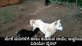 Horoscope Today 11 October: ಇಂದು ಈ ರಾಶಿಯವರು ಸೋಲನ್ನು ಸಾಮಾನ್ಯವಾಗಿ ಒಪ್ಪಿಕೊಳ್ಳಲಾರರು