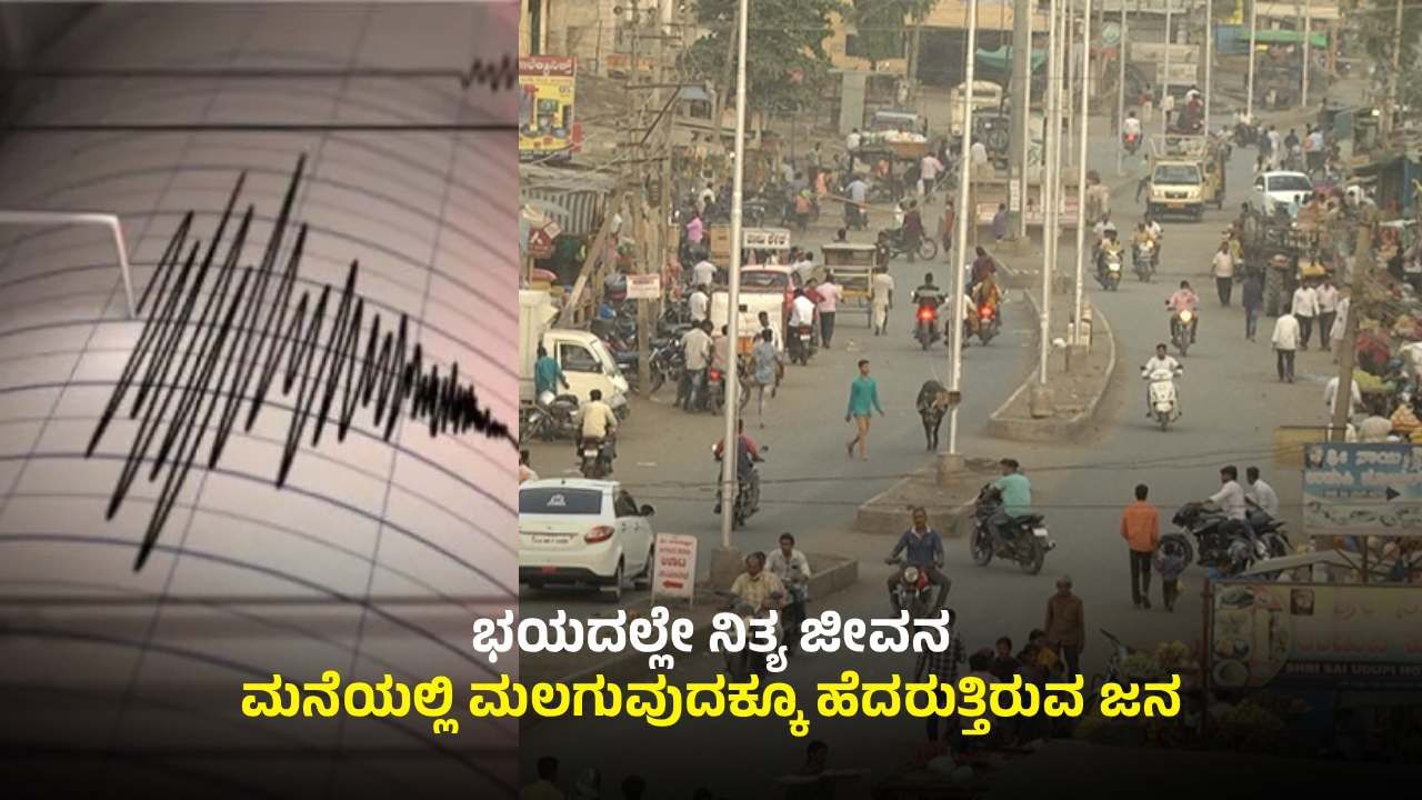 ವಿಜಯಪುರ: ಪ್ರವಾಹದ ಮಧ್ಯೆ ಜನರಲ್ಲಿ ಮತ್ತೊಂದು ಭಯ; ಏನದು?