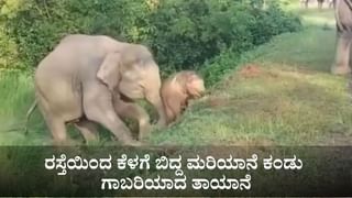 ಫತೇಪುರದಲ್ಲಿ ಬೆಂಕಿ ಅವಘಡ; 65 ಅಂಗಡಿಗಳ 3 ಕೋಟಿ ರೂ. ಮೌಲ್ಯದ ಪಟಾಕಿಗಳು ಸುಟ್ಟು ಭಸ್ಮ